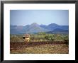 Hut In Field Near Konso Village, Omo River Region, Ethiopia by Janis Miglavs Limited Edition Print