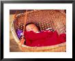 Sleeping Baby In Hanging Basket, Hue, Vietnam by Keren Su Limited Edition Pricing Art Print