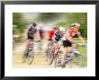 Mountain Bike Race, Bannockburn, Near Cromwell, Central Otago, South Island, New Zealand by David Wall Limited Edition Print