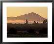 Mist And Trees At Dawn With Mt. Blue In The Distance, Northern Forest, Maine, Usa by Jerry & Marcy Monkman Limited Edition Print