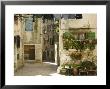 Croatia, Istria, Rovinj, Old Town by Walter Bibikow Limited Edition Pricing Art Print