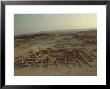 Archaeological Site, Masada, Israel, Middle East by Fred Friberg Limited Edition Pricing Art Print