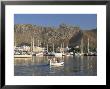 Fishing Boat Leaving Harbour, Puerto Pollensa, Mallorca (Majorca), Spain, Mediterranean by Ruth Tomlinson Limited Edition Pricing Art Print