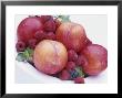 Fruit Bowl With Red Plums And Raspberries by Linda Burgess Limited Edition Pricing Art Print