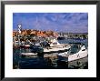 Boats Moored In Marina, Cabo San Lucas, Baja California Sur, Mexico by John Elk Iii Limited Edition Print