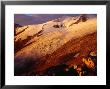 Schlaten Glacier On Grossvenediger Mountain From Neue Prager Hut, Hohe Tauren Nat. Park Austria by Witold Skrypczak Limited Edition Print