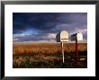 Mailboxes On Side Of Route 77 Near Woodrow by Ionas Kaltenbach Limited Edition Print