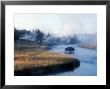 Bison Crosses The Firehole River Flowing Through Geyser Basins, Yellowstone by Michael S. Lewis Limited Edition Print