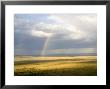 Rainbows Form Over The Serengeti Plains, Tanzania by Michael Fay Limited Edition Print