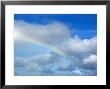 Rainbow In A Cloudy Sky, Hawaii by Stacy Gold Limited Edition Print