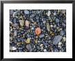 Stones On A Beach Reflect The Light by Taylor S. Kennedy Limited Edition Pricing Art Print