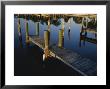 Boat Slips At A Marina On A Calm Morning by Raul Touzon Limited Edition Print