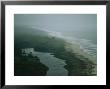 Elevated View Of Fog-Shrouded Atlantic Coast Of Gabon by Michael Nichols Limited Edition Pricing Art Print