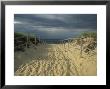Fence-Lined Path To The Beach At Cape Cod National Seashore by Michael Melford Limited Edition Print