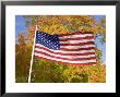 Old Glory Unfurls Against Autumn Colors, Waldorf, Maryland by Stephen St. John Limited Edition Pricing Art Print