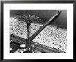 Aerial View Of Parachute Jump Ride, Beach And Boardwalk At Coney Island by Margaret Bourke-White Limited Edition Print