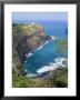 Kilauea Lighthouse, Kilauea Point, National Wildlife Refuge, Hawaii by Ethel Davies Limited Edition Print