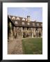 Oldest Quadrangle, Old Court, Corpus Christi, Cambridge, Cambridgeshire, England by Michael Jenner Limited Edition Print