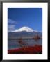 Mount Fuji, Honshu, Japan, Asia by Adina Tovy Limited Edition Print