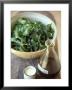 Rocket Salad With Vinaigrette by Jean Cazals Limited Edition Print