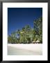 Boracay Beach, Palm Trees And Sand, Boracay Island, Philippines by Steve Vidler Limited Edition Print