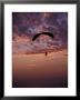 Paragliders At Sunset, Step Toe State Park, Washington, Usa by Darrell Gulin Limited Edition Print