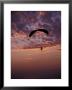 Paragliders At Sunset, Step Toe State Park, Washington, Usa by Darrell Gulin Limited Edition Print