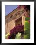 Bougenvilia Flowers Decorate A Capri Island House In Italy by Richard Nowitz Limited Edition Print