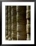 Side Angle View Of Columns Along A Walkway, Asolo, Italy by Todd Gipstein Limited Edition Print