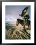Hunter On Horseback Atop A Hill Holding A Golden Eagle In Mongolia by David Edwards Limited Edition Pricing Art Print