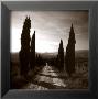 Mensano, Tuscany by Charlie Waite Limited Edition Print