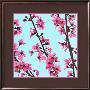 Cherry Tree Blossom by Christophe Szkudlarek Limited Edition Print