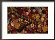A Varied View Of Dime Store Candy Makes Sweet Colorful Patterns by Stephen St. John Limited Edition Pricing Art Print