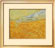 Harvest by Vincent Van Gogh Limited Edition Print