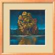 Shades Of Fall Ii by Robert Holman Limited Edition Pricing Art Print