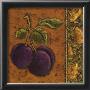 Plum by Rebecca Carter Limited Edition Print