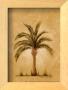Palm Breeze Ii by Beth Yarbrough Limited Edition Print