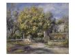 Houses At Cagnes by Pierre-Auguste Renoir Limited Edition Print