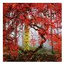 Richard Felber Pricing Limited Edition Prints