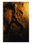 Skeleton From A Human Sacrifice Turns To Stone In A Cave In Belize by Stephen Alvarez Limited Edition Print