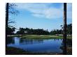 Tidewater Golf Club And Plantation by Stephen Szurlej Limited Edition Print