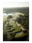 Tpc Sawgrass Stadium Course, Hole 9 by Stephen Szurlej Limited Edition Print