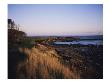 Kingsbarns Golf Links, Scotland by Stephen Szurlej Limited Edition Print