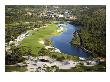 Medalist Golf Club, Hole 15, Aerial by Stephen Szurlej Limited Edition Pricing Art Print