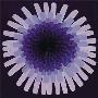 Violet Dandelion I, 2002 by Claire Davies Limited Edition Print
