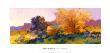 Glory In The Morning Ii by Richard Mcdaniel Limited Edition Print