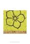 Key Lime Rosette Iv by Chariklia Zarris Limited Edition Print