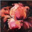Rose Viola by Elena Filatov Limited Edition Pricing Art Print