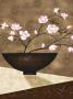 Cherry Blossom In Bowl by Jo Parry Limited Edition Pricing Art Print
