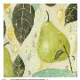 Pear by Nicholas Wilton Limited Edition Pricing Art Print